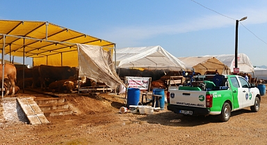 Büyükşehir Belediyesi Kurban Bayramına hazır