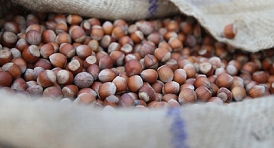 Fındık alım fiyatları belli oldu