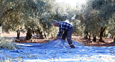 Mudanya Belediyesi Zeytin Üreticisinin Yanında