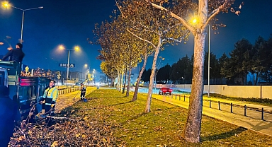 Bursa’da çınar ağaçlarına kış bakımı