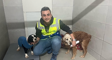 Büyükşehir, bayramda da can dostların yanında