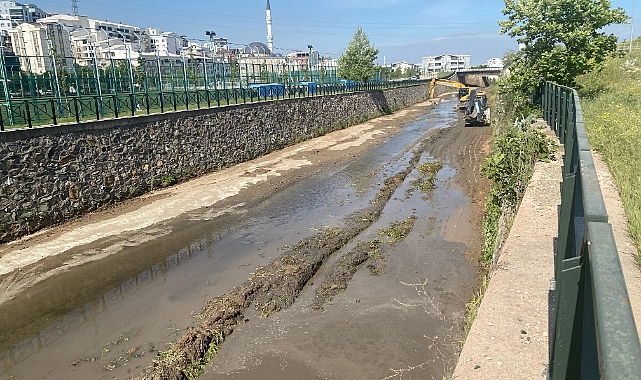 Büyükşehir'den Mandıras Deresi'nde yaz temizliği