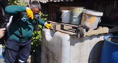 Gemlik Körfezi’nde dalgıçlardan dip temizliği