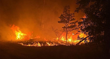 Almanya'da orman yangınlarıyla mücadele sürüyor
