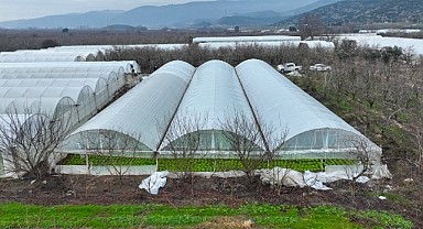 Lodostan zarar gören seralara Büyükşehir desteği