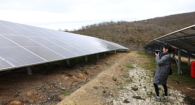 Nilüfer Belediyesi, uluslararası yeşil enerji araştırmasına ev sahipliği yaptı