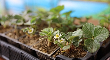 Bursa'da çiftçilere eğitim desteği