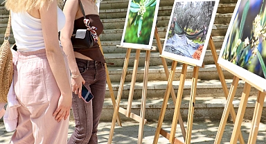 TİRİLYE’DE “ZEYTİN ÇİÇEĞİ FESTİVALİ”NE BÜYÜK İLGİ